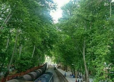 درود؛ سرزمین لاله ها و آبشارهای ایران درود؛ سرزمین لاله ها و آبشارهای ایران